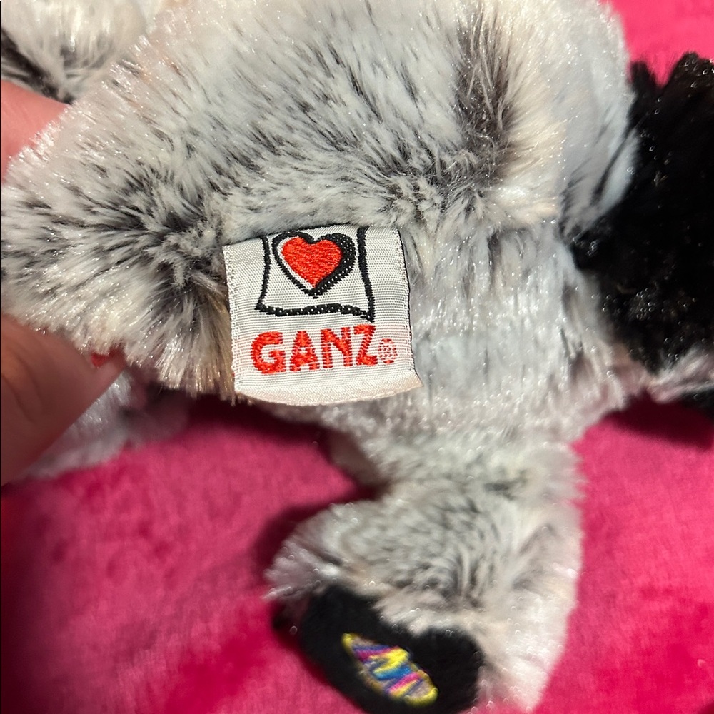 Webkinz Racoon - Picture 4 of 4